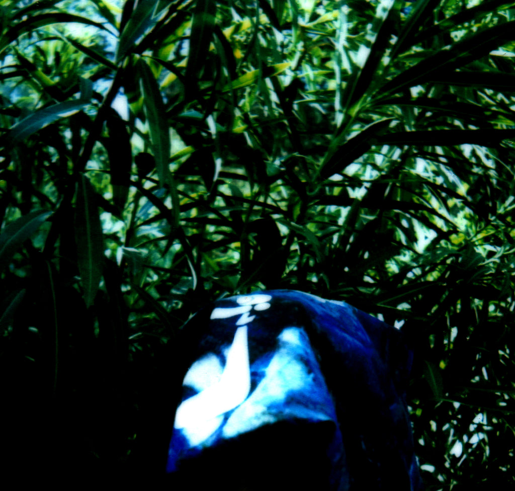 Bandana cloude monet
